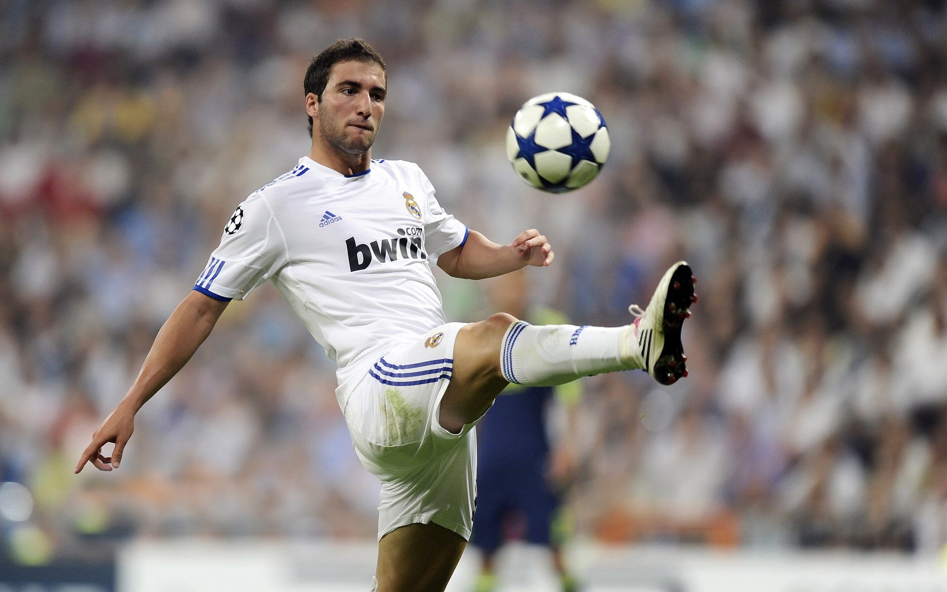 勇士队追逐联盟纪录,皇冠梦在望,勇士队总冠军视频